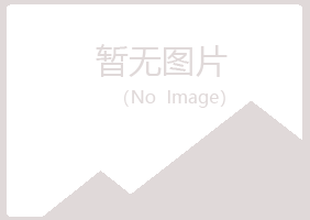 博湖县雅山化学有限公司